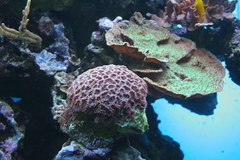 Killikus&reg; Fotographie